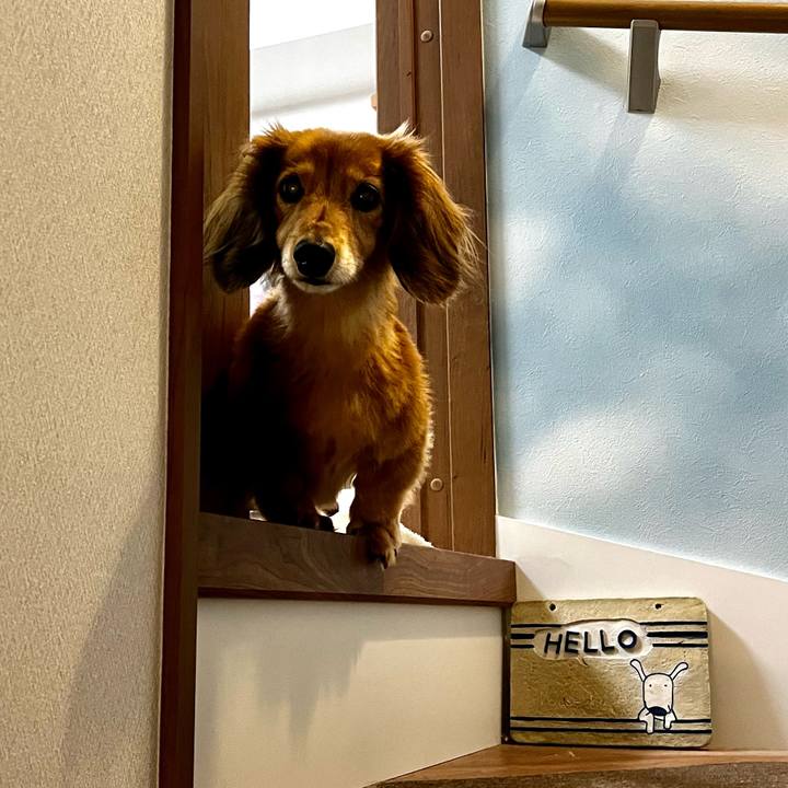 6755e3ce a470 482e 8959 8d1b612651fd 1663162349836