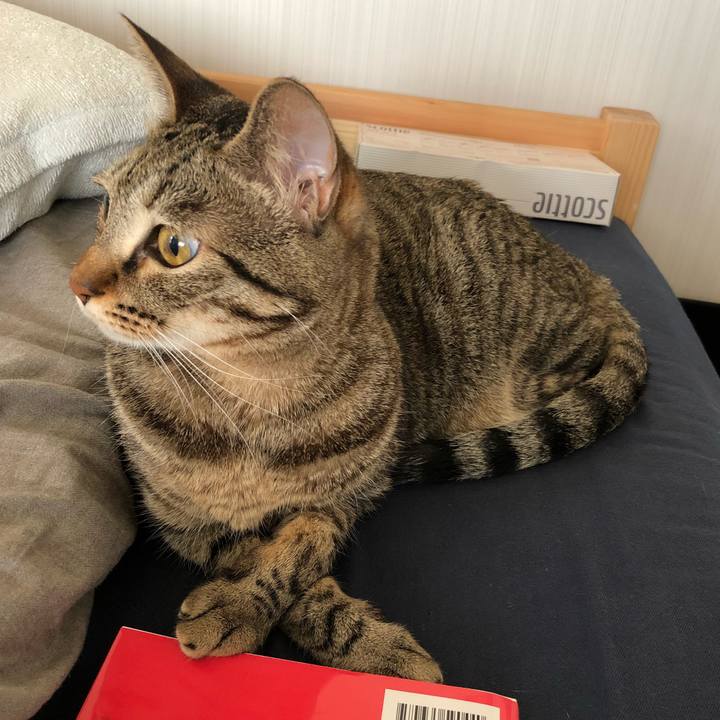 6755e48b fa29 4a32 aaee ae49362f5062 1529412696621