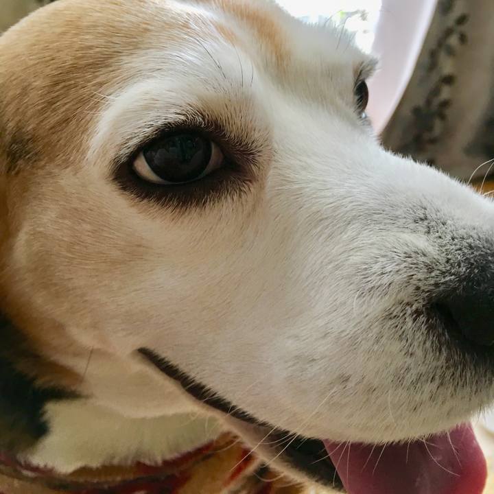 6755e863 68b9 41cc 95d4 ae744167a417 1550292063171