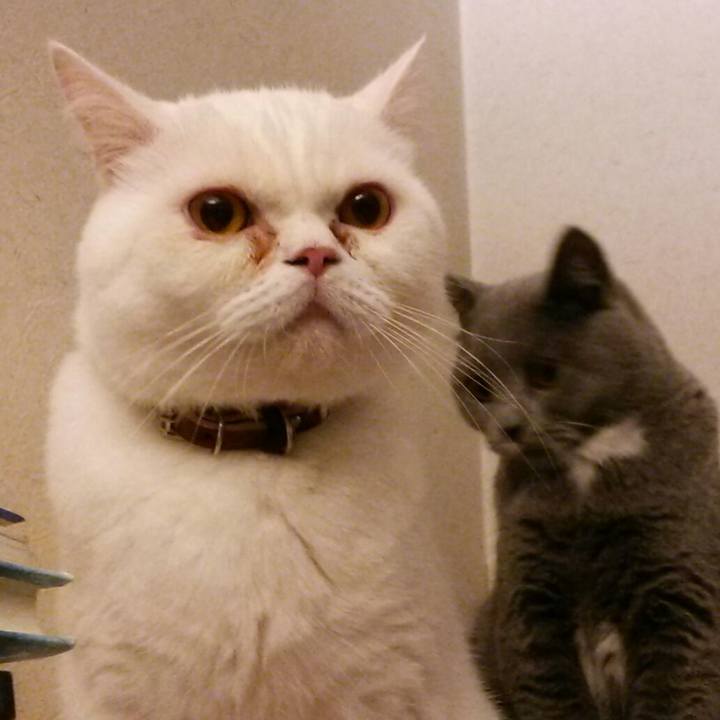 6755eee5 b590 4019 a853 dd8c7e191449 1542147761836