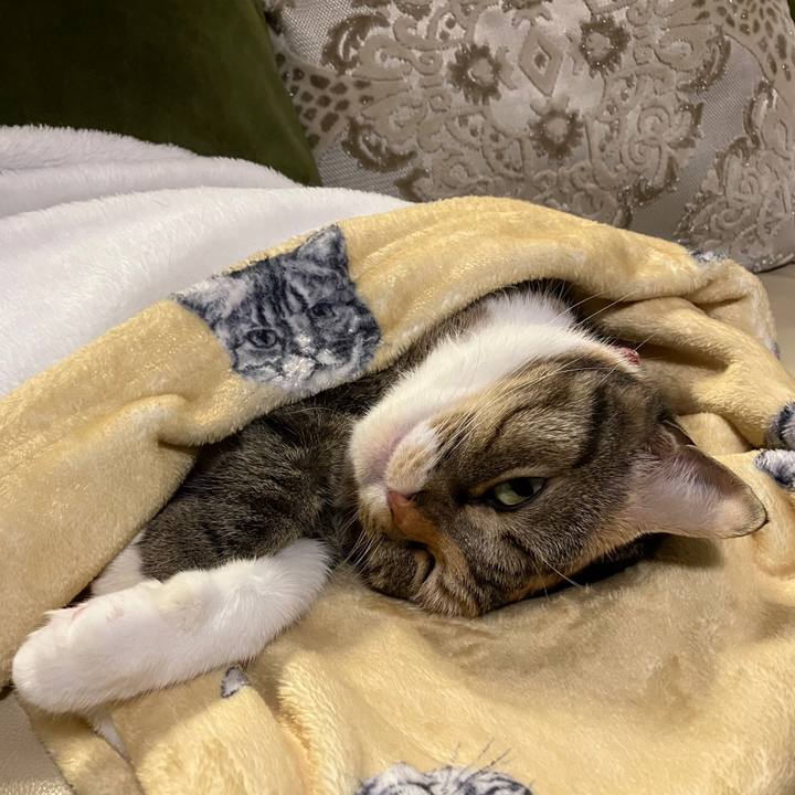 6755fb1d d1ed 40a1 9636 ee9e316512dc 1763201133337