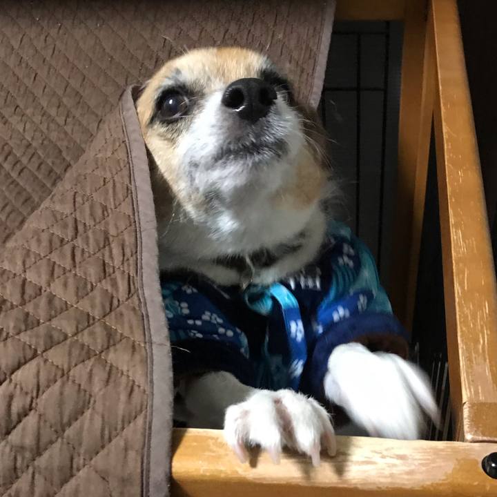 67562392 1a2e 4d44 b015 705d75594258 1545084941755