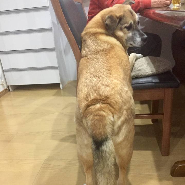 67563407 1e05 4385 bb73 41d603cc1126 1517221363548