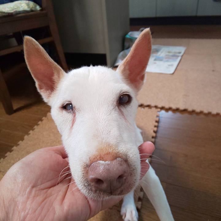 67563a90 290b 40eb ab7a 1aced99a0fa8 1569715619219