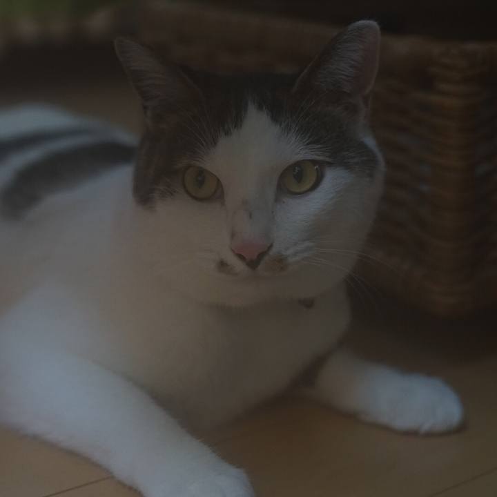 675689f2 eafa 484e a2b8 bcdc4f65a3f1 1531622915520