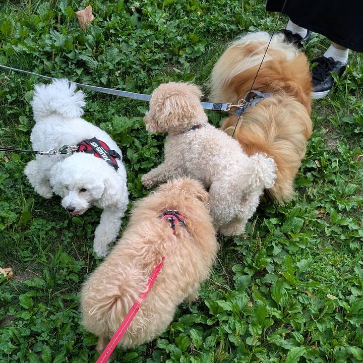 675698ba 4e0a 46e0 a396 cdc299783800 1755382055500