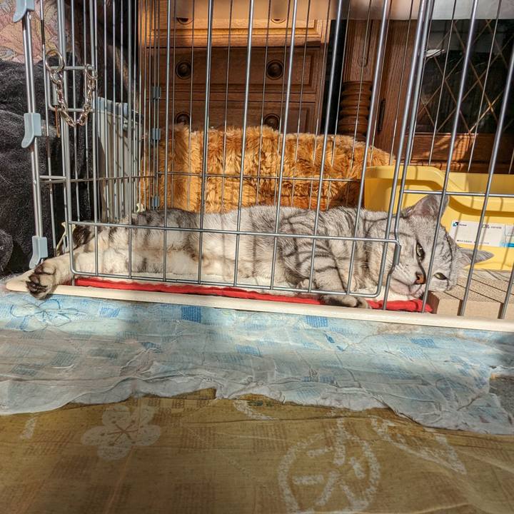 6756f9ee 84aa 4612 beb7 de548dcd30d4 1712011571353