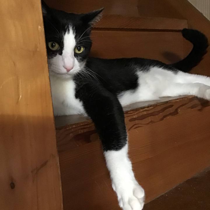 67576537 8dd4 40cd b4b9 1293cd4ca36a 1758875023464