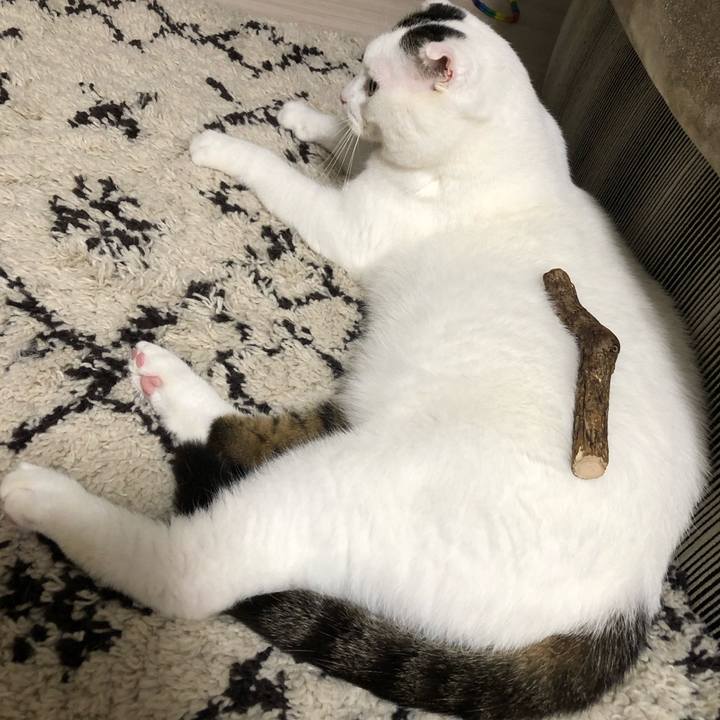 67576922 9096 4bd9 b4a0 c0981398f711 1598964664567