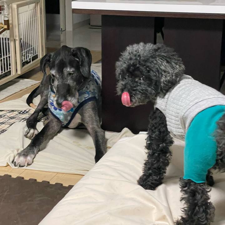 6757744d 6672 465e a23f 19f727a8041e 1665962284814