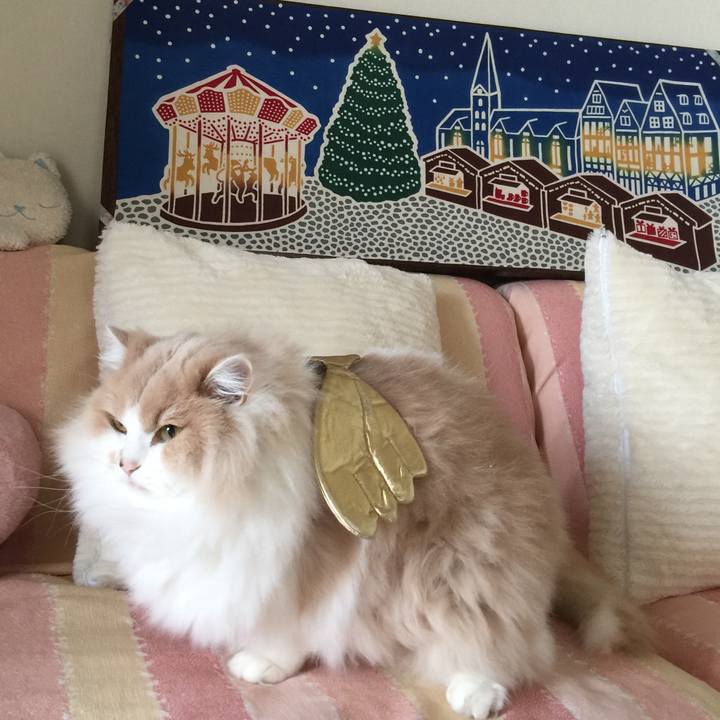 6757bcc0 2163 42d7 bfae 00d426124b2b 1513488735060