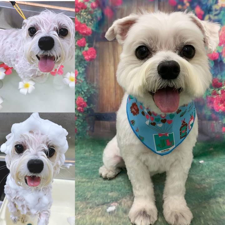 6758578f c2ac 4347 9a53 ea2016e07e45 1612173251790