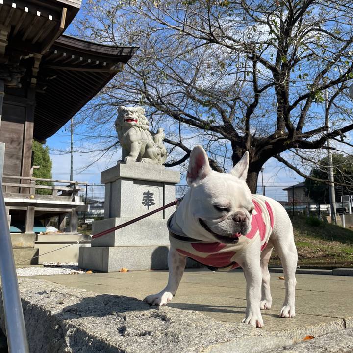 67586eb1 8588 46a9 bbe3 e1d711b36cbc 1761953526844