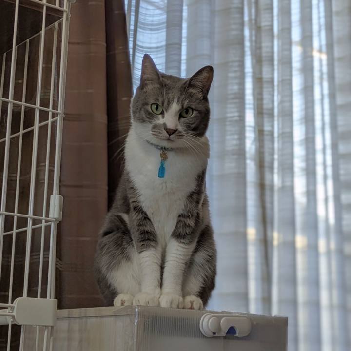 6758a8de dc32 44e4 8997 5d85838017f1 1736762886705