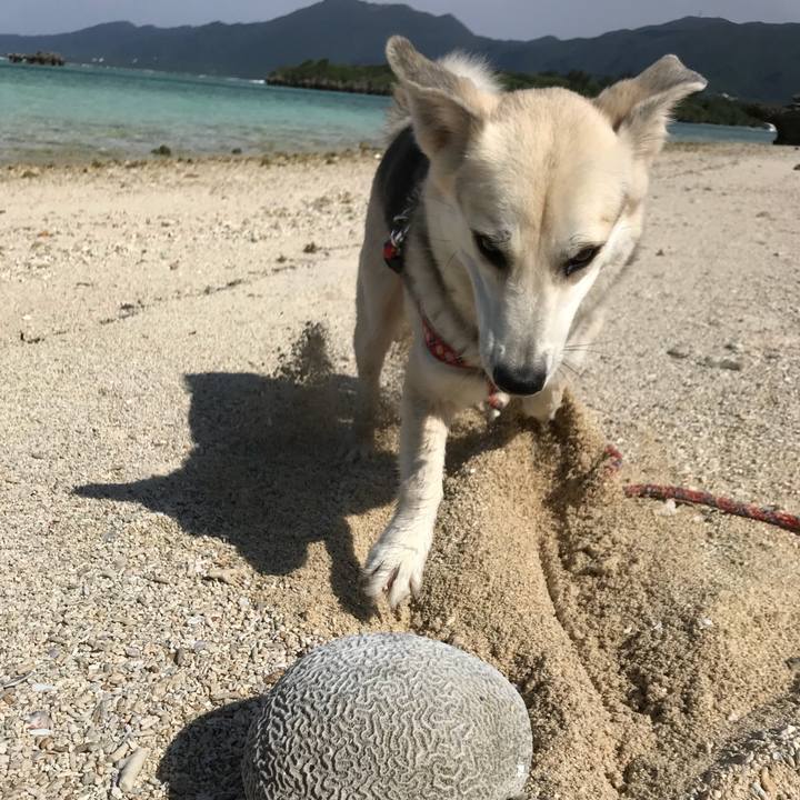 6758e0bd d590 4d8f 8ef3 7c9d20e4e774 1523797556621