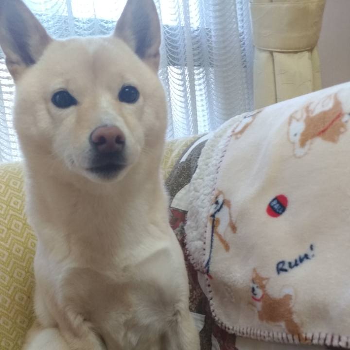 6759460a cf52 4c12 a5bd 1dc2161b2bf2 1576455719457