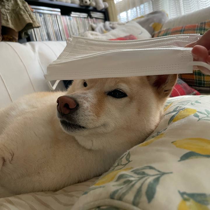 67595e34 5fba 4ddc 8ac5 04c04093b781 1661213841257