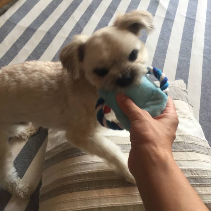 67596f5b c6c2 4df4 a758 365259498154 1529933733274