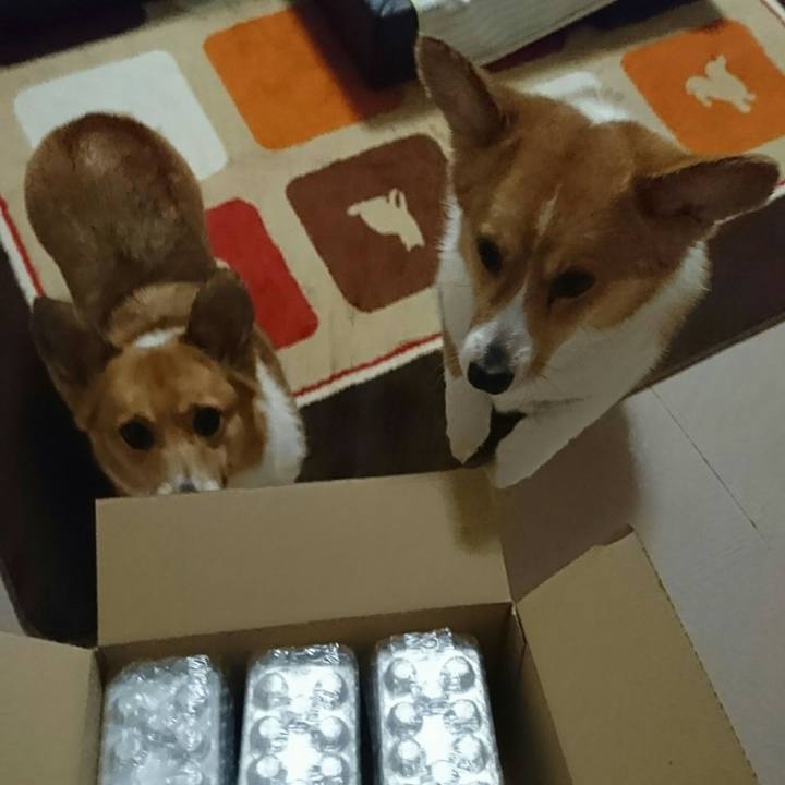 6759757a a963 420d aa7b e492c28340cb 1521461601113