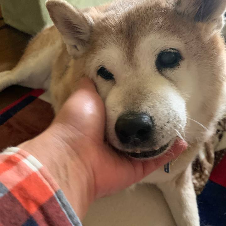 675979dd 5cfe 4270 8b8d 51c675db8409 1635325237559