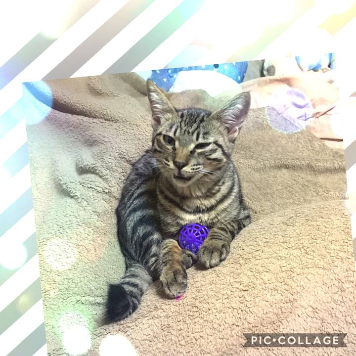 6759ae3e 2ea7 4213 a9a1 015ba502a3b1 1541241830364