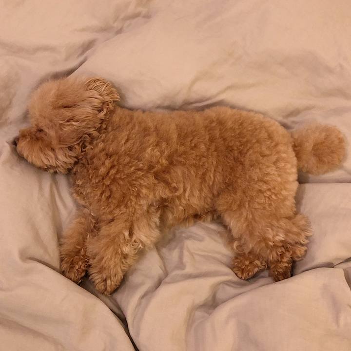 6759c57d 73bf 4ebf 9262 5def98c21735 1567499185874