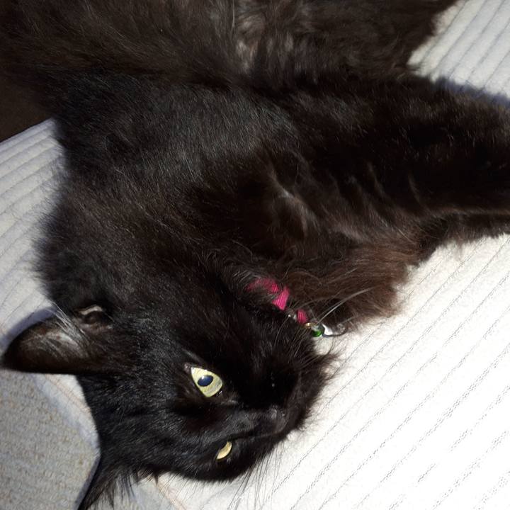 6759c7dc 438d 42c6 9ee4 a6404b304a25 1521972789420