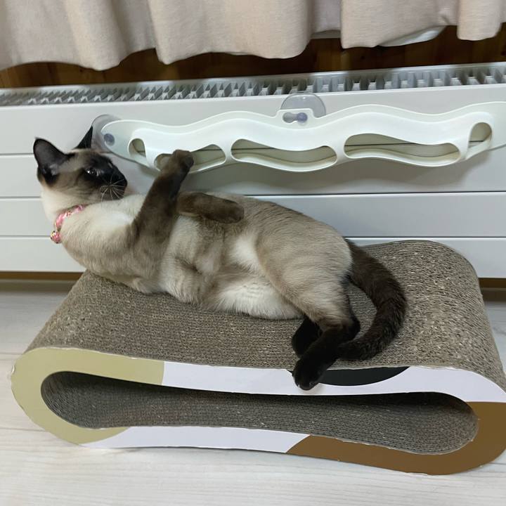 675a0ba7 6223 4eb0 b01e 999206b06ce6 1713988158468