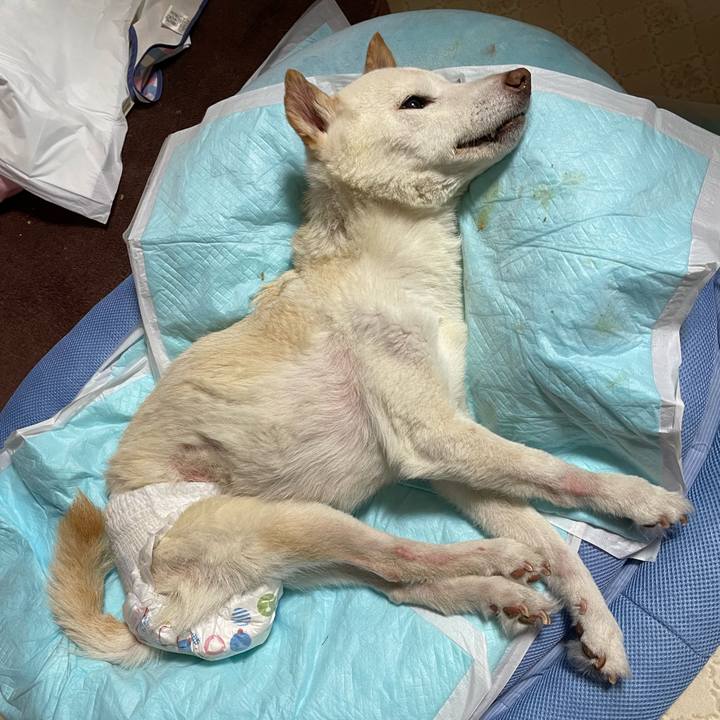 675a3ea3 10b9 454a b062 a81eeeda358a 1680531115849