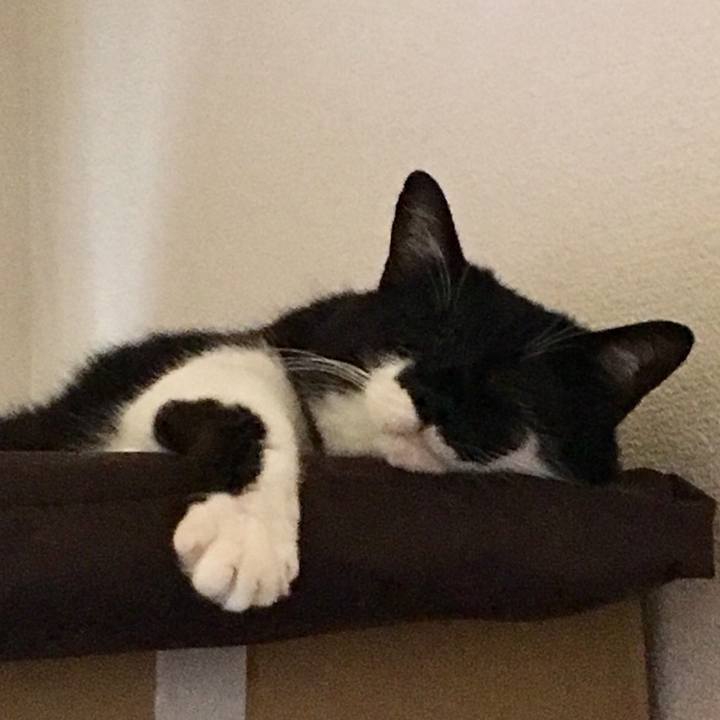 675a5b87 8c61 44c7 911d 622268c30c9c 1530500963330