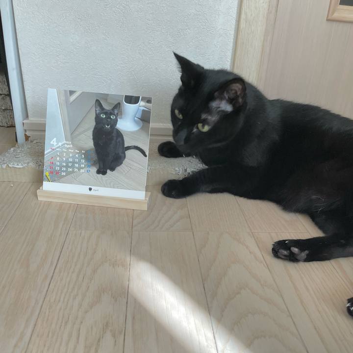 675aa11e 4df9 4d37 b682 82f9ce74e28e 1714862467610