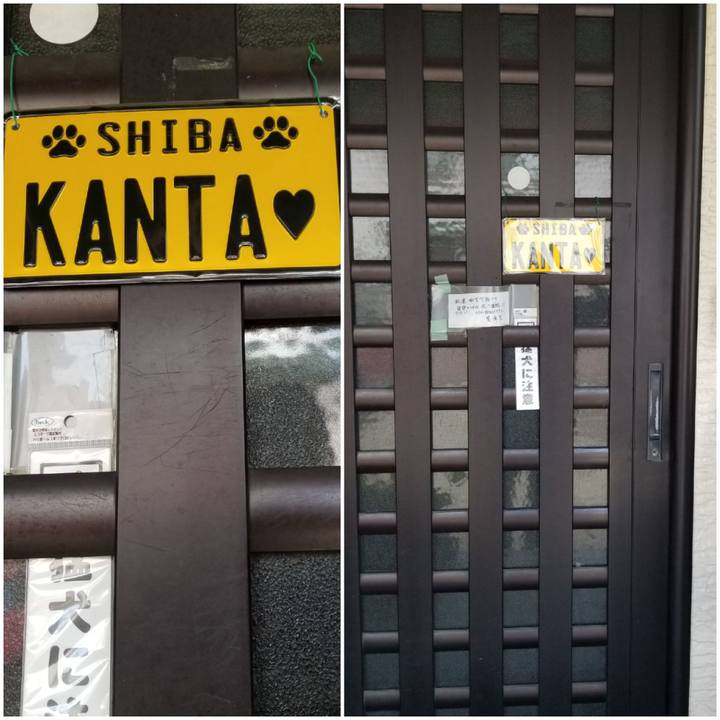 675aa7ed 47be 4fe2 aeda f95a7891c70e 1746762152331