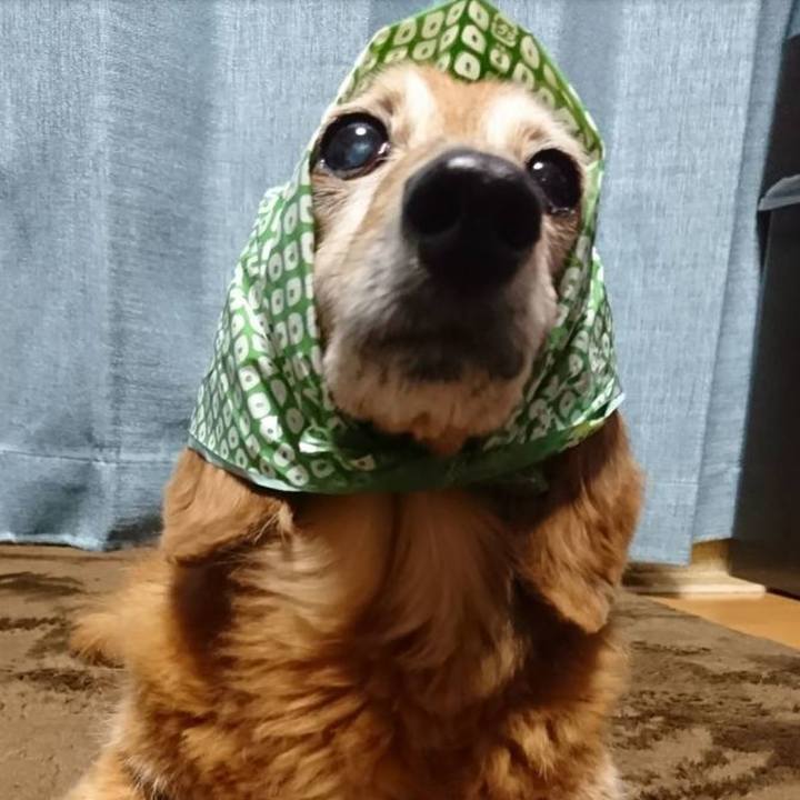 675ab721 55aa 4495 b686 46504a6c1377 1575972196524