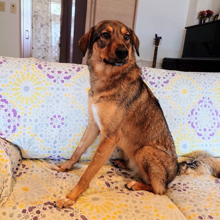 675ac01d a50b 40fd 988c d07d2dce8669 1742705163166