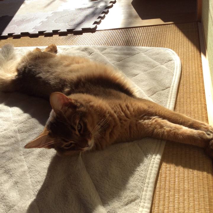 675ac3af 1188 4bf5 8d2f 457ef9c5e29f 1576460230390