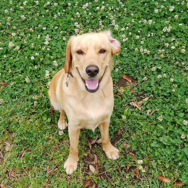 675ae85c 1f68 4b86 9d1b d33ed02d55c3 1526476689493