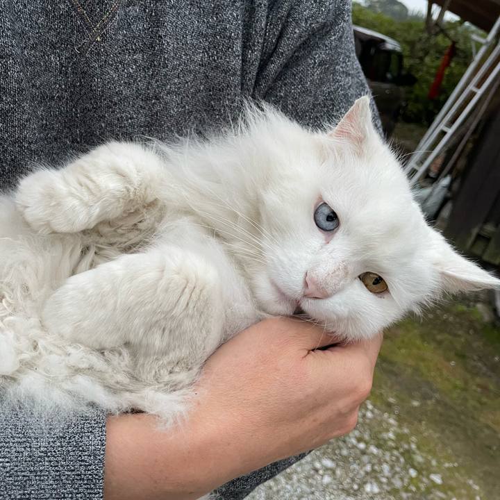 675b24a2 71b5 45b8 8a01 0dd624df345b 1711891467722