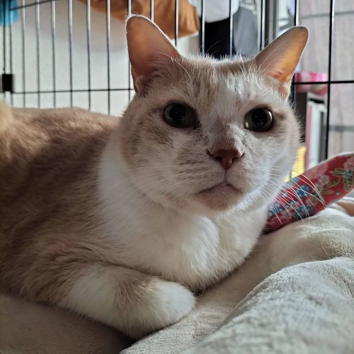 675b5759 8555 469e b81e 254a0d7f054f 1638311484294