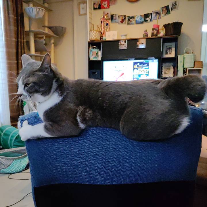 675ba967 1b37 4f24 8e64 79752b09af6c 1655196247647