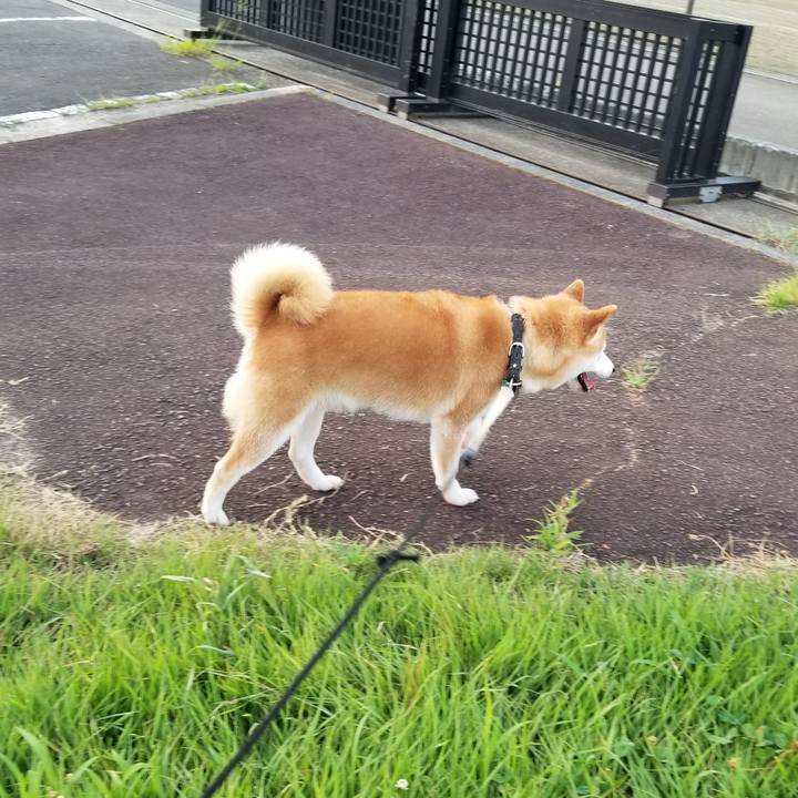 675ba9de 8ff1 4d35 ae28 40b542c83d77 1627895402133