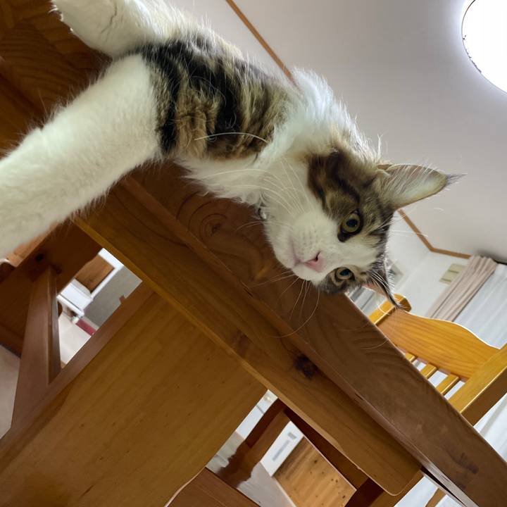 675bc06a db22 43c0 90de 2a7aa07ee9bd 1642364602555