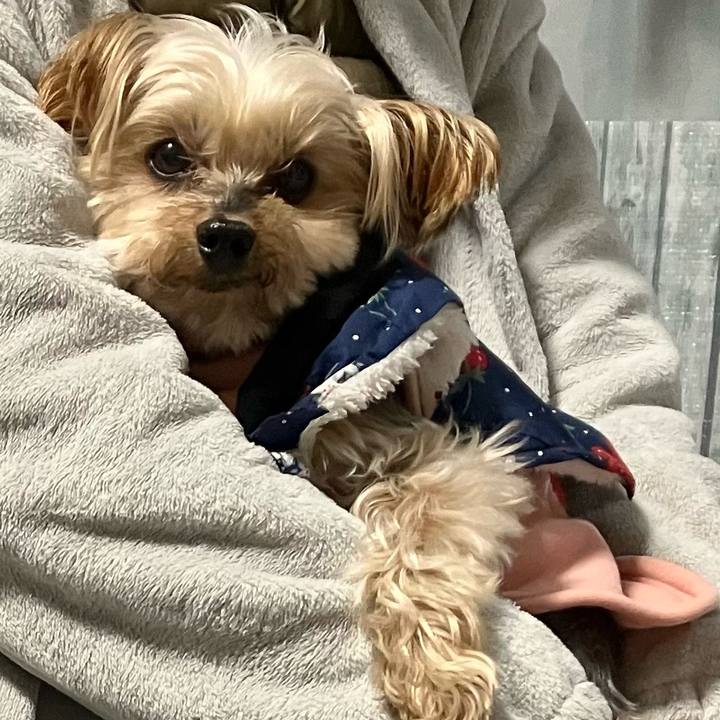 675bdd48 f7a0 4b20 b373 33937163cfe0 1770458721410