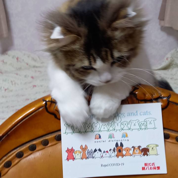 675bdd87 5fb6 4c84 8b66 f395a034e2d3 1616922554417