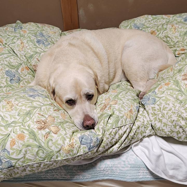 675bf9f8 f8d3 4fe3 b7e2 7bb5612520da 1758975794915