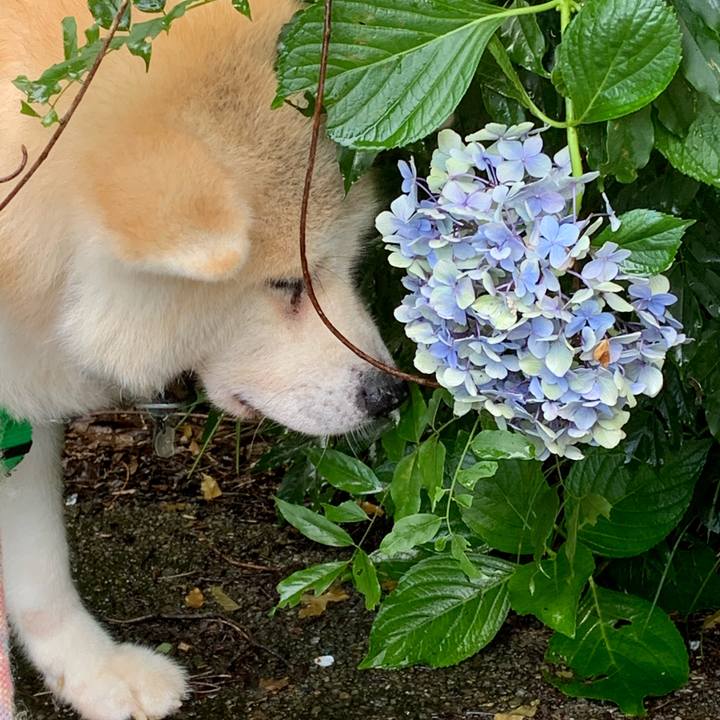 675c048b 237d 4d82 ab20 f64e1637375c 1595137449678