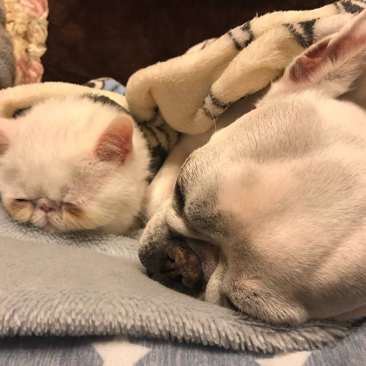 675c097d dd33 4562 be46 6806c0d2f6da 1546075483210