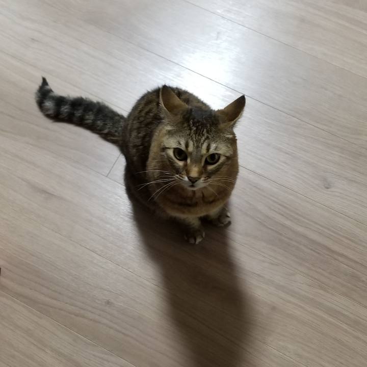 675c7815 4c55 499c 8bae b375eaa92321 1617312845715