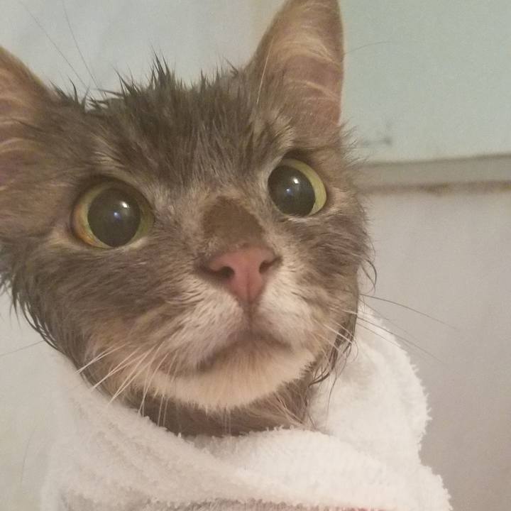 675ca8b8 eb24 4070 80dd 8cc0431b6cb6 1557013290165