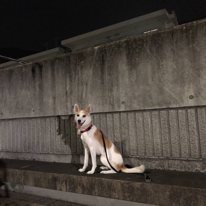 675cbe6e 68b8 4308 8635 1e7194cde40c 1596460890794