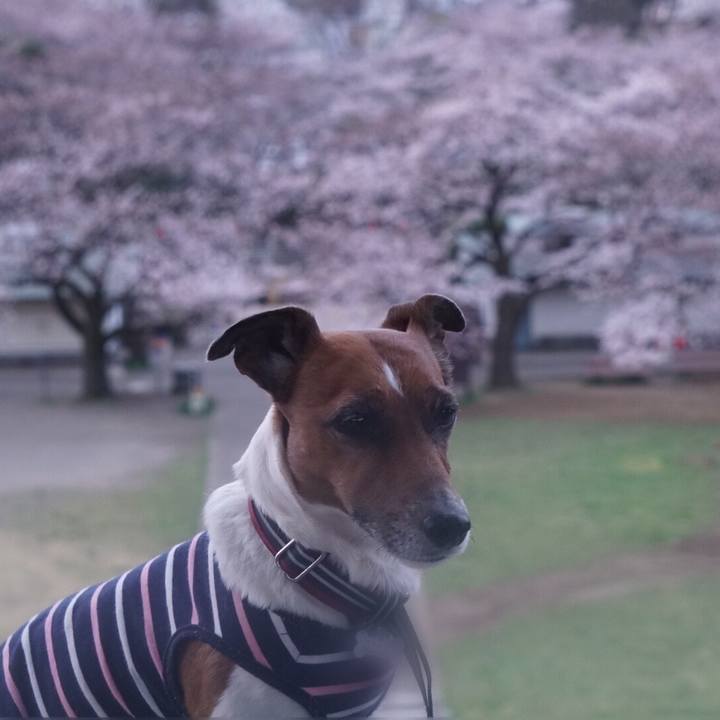 675cfd60 52c1 4c64 ba9e 055ba5e14eb9 1585178061088